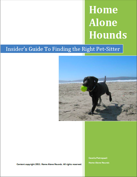Home Alone Hounds Insider's Guide to Finding the Right Pet-Sitter